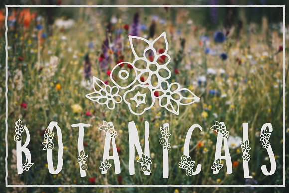 Melange A Flower Font for Spring插图4