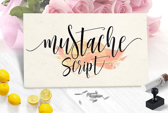 Delicious Bundle插图7