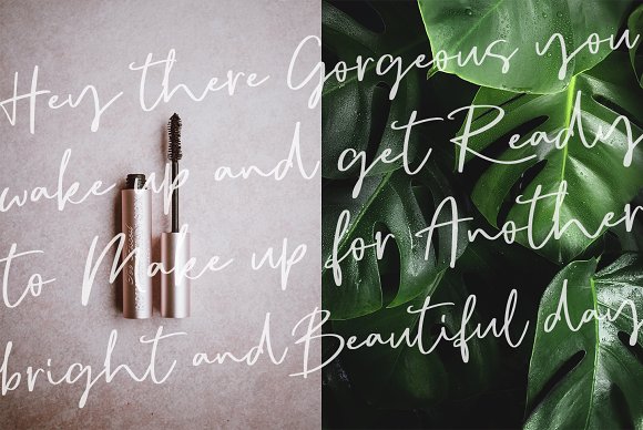 Signature font duo Sophia Reign插图2