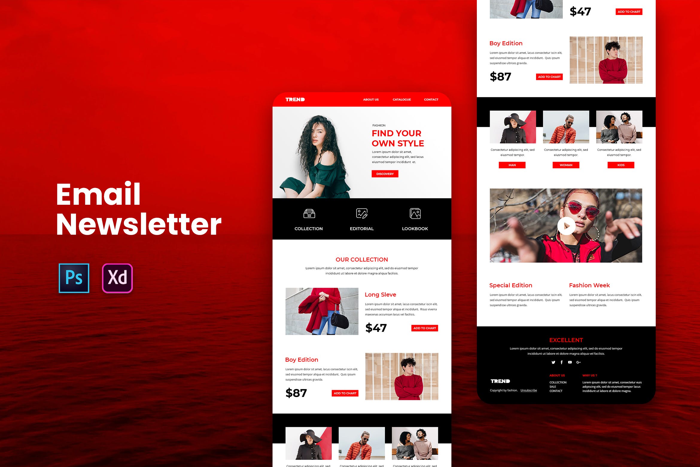 品牌服装折扣活动EDM推广邮件设计模板 Email Newsletter插图