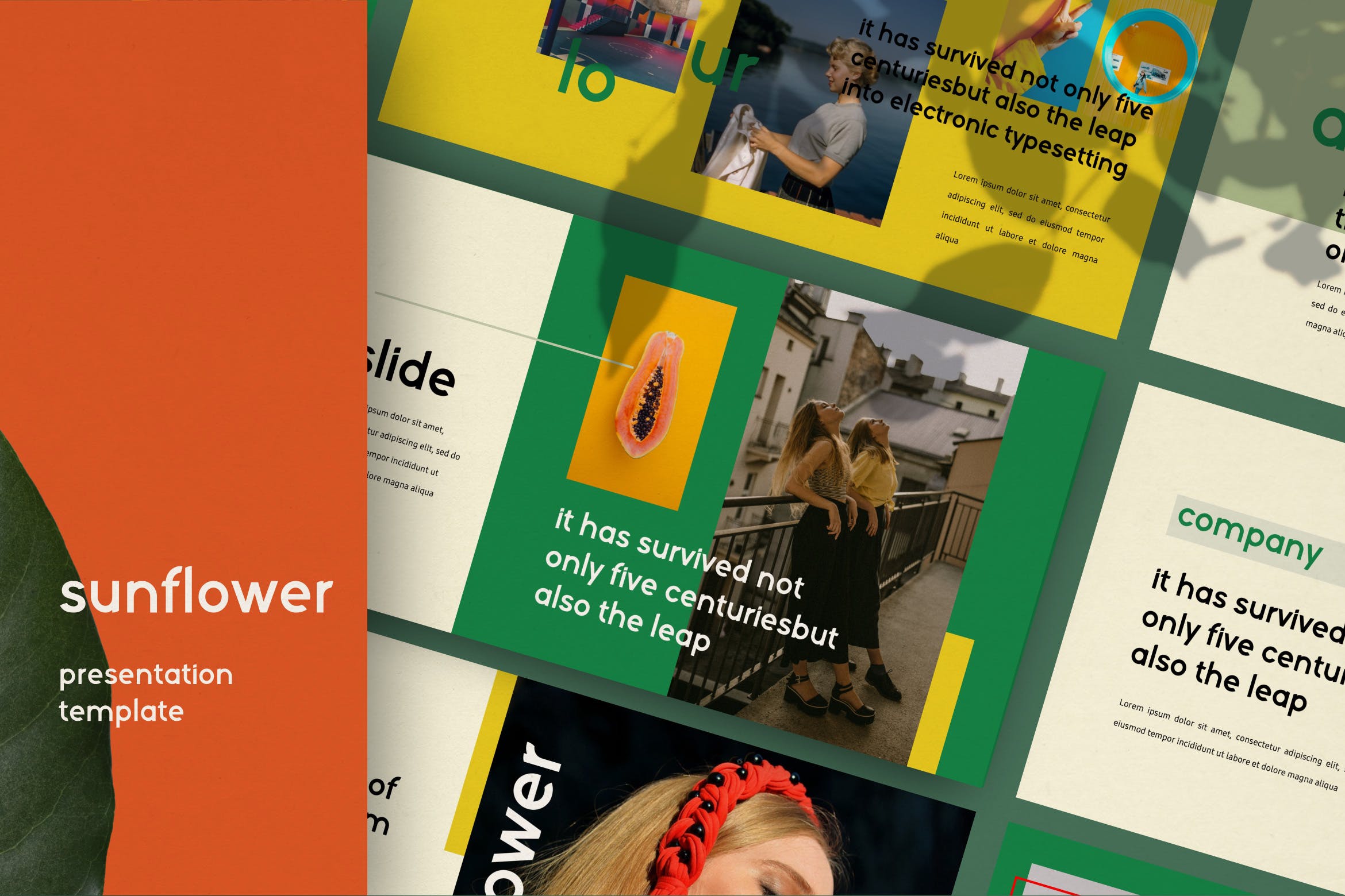 摄影工作室介绍PPT模板素材下载 Sunflowers – Powerpoint插图