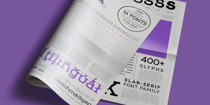 Nora Slab Font Family插图1