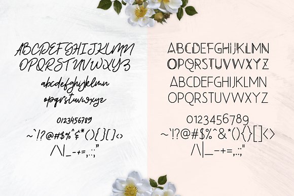 Beauty Salon Modern Font Duo插图1