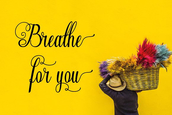 Evolutio Font插图4