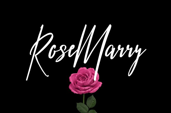 Contaur Typeface插图1