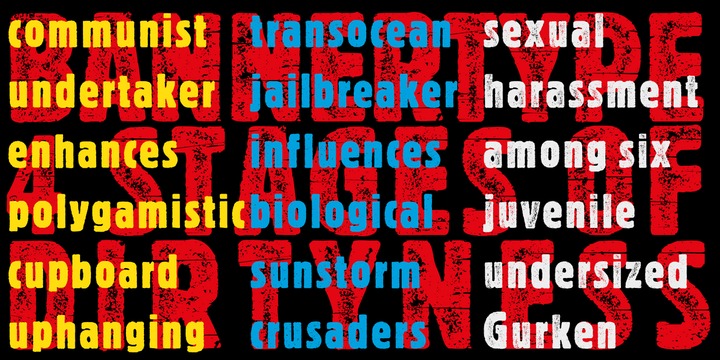 Bannertype Font Family插图1