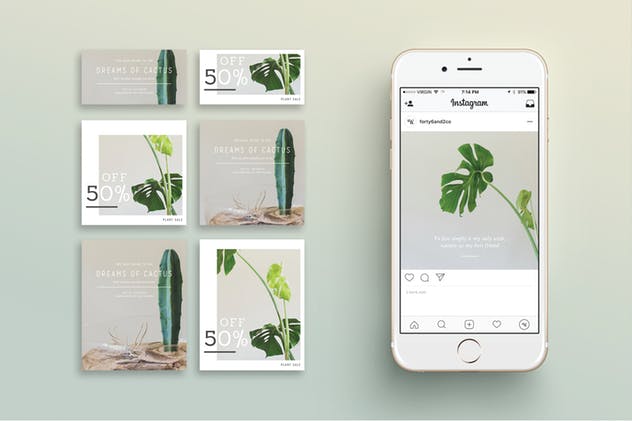 现代简洁风格多用途社交媒体贴图模板素材库精选 NATURALIS Social Media BUNDLE插图(1)
