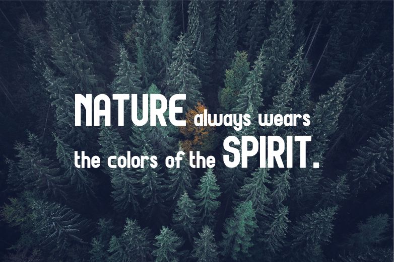 GREAT BOLD Regular Font插图3