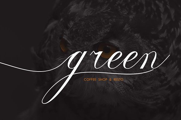 Fazlodia Font插图2