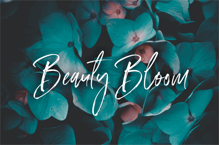 Amourist font插图3 Amourist font插图3