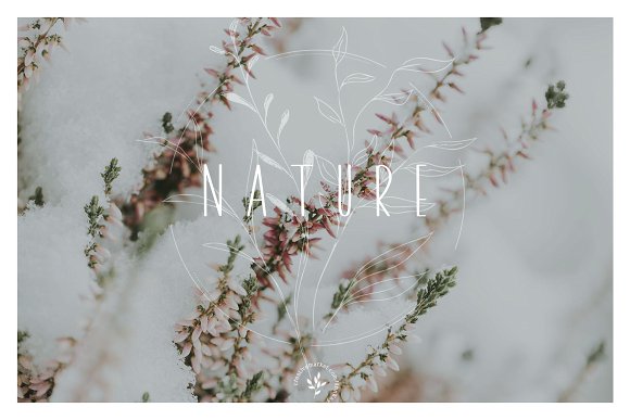 Rome | Font + Bonus插图1