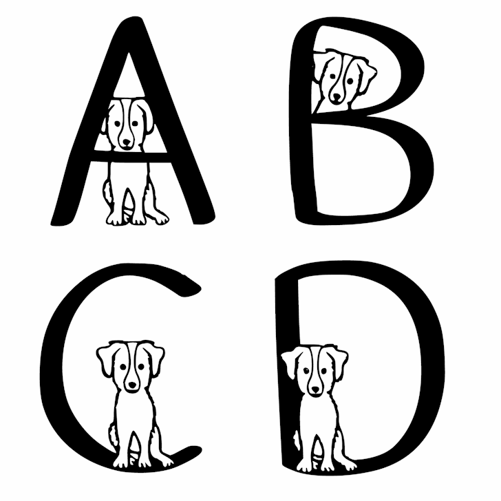 Ks Australian Shepherd font插图