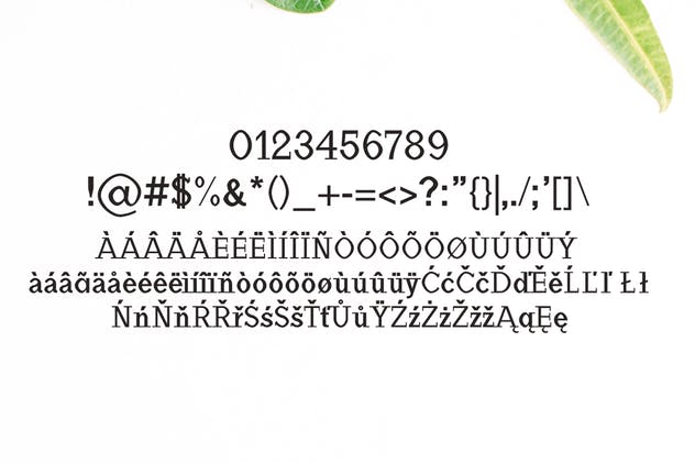 Haytham粗衬线英文字体下载 Haytham Slab Serif Fonts Packs插图(3)
