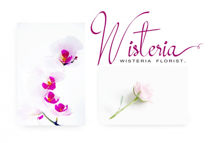 Mollucash Font插图3