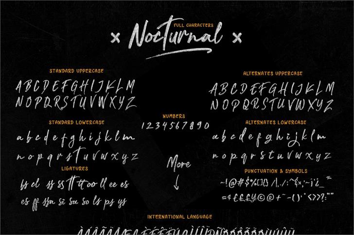 Nocturnal font插图7
