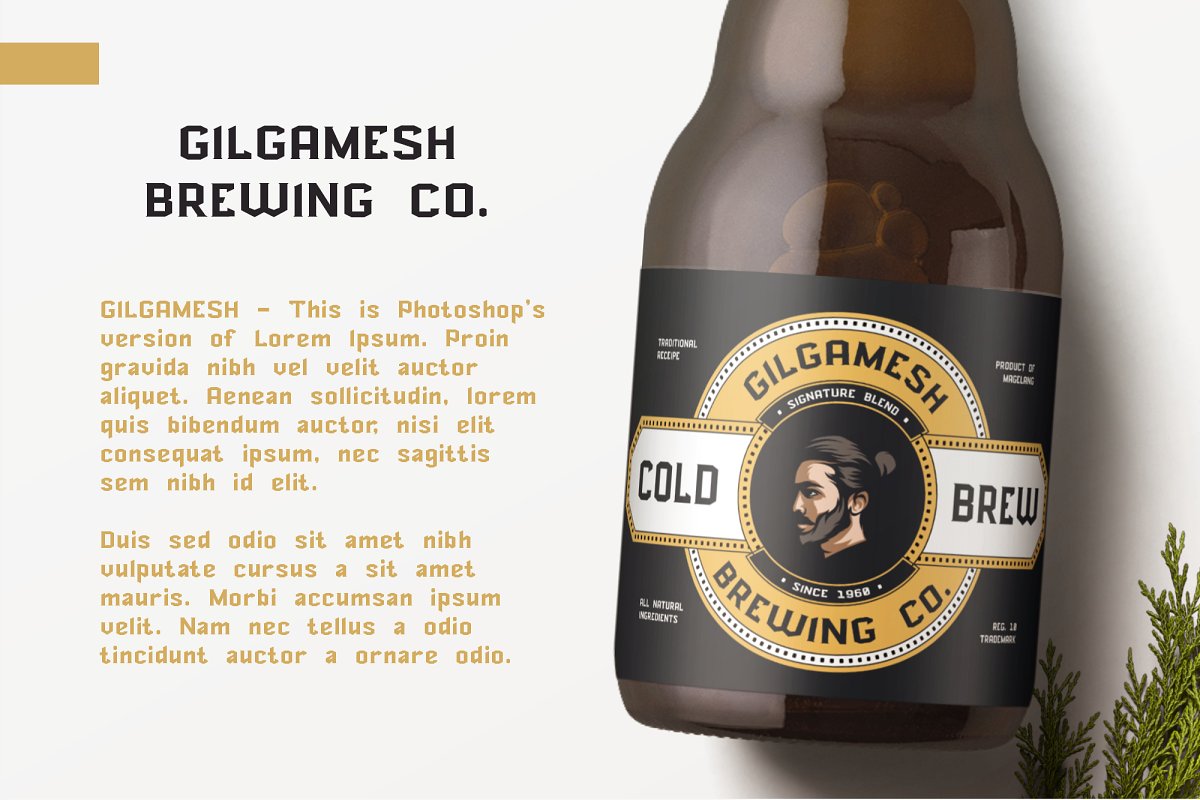 NORTHAM THORNE FONT插图1