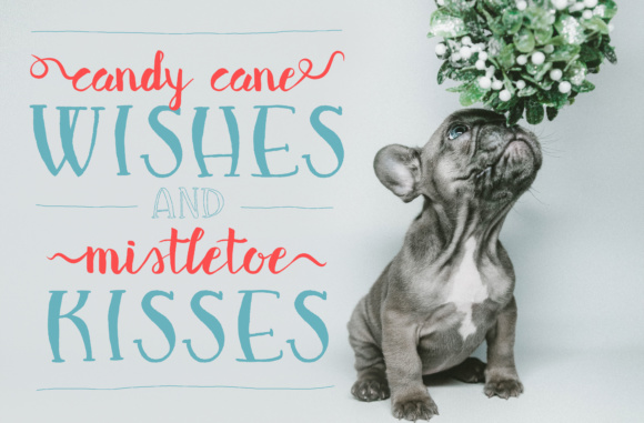 Red Noses Font插图2