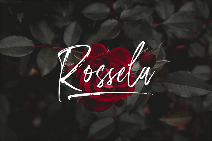 Amourist font插图2 Amourist font插图2