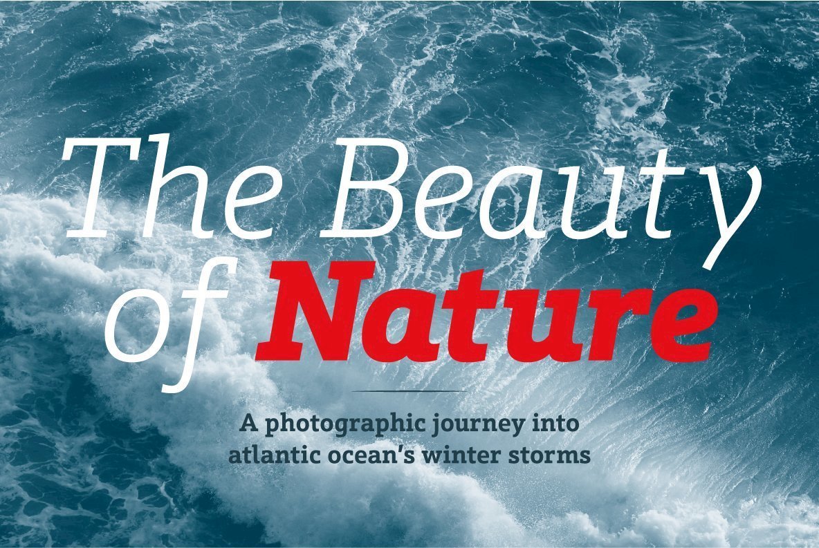 Schnebel Slab Font Family插图1