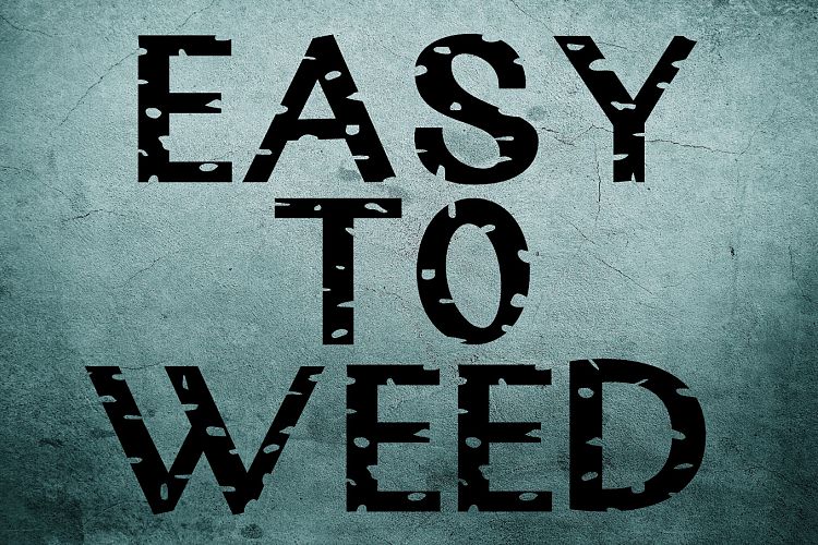 Rustic Oak A Grunge, Solid, and Stencil Other Font插图2