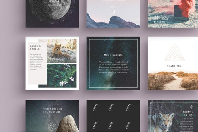 美丽多用途易用Pinterest模板素材库精选 LUMINA Pinterest Pack插图(9)