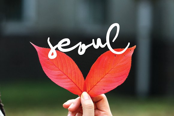 rio de janeiro插图3