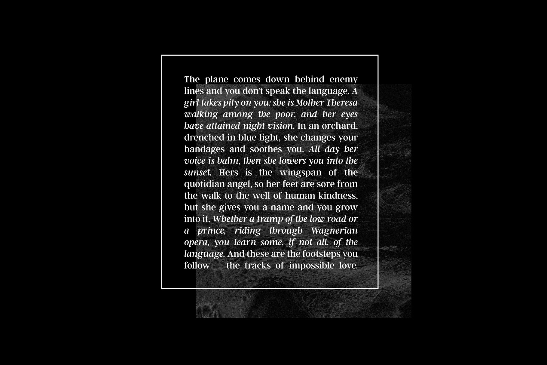 衬线字体 Argent CF: expressive serif font插图(15)