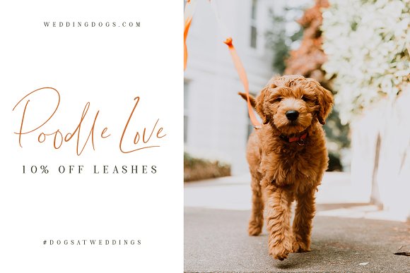 Lightheartedly Signature style font插图2