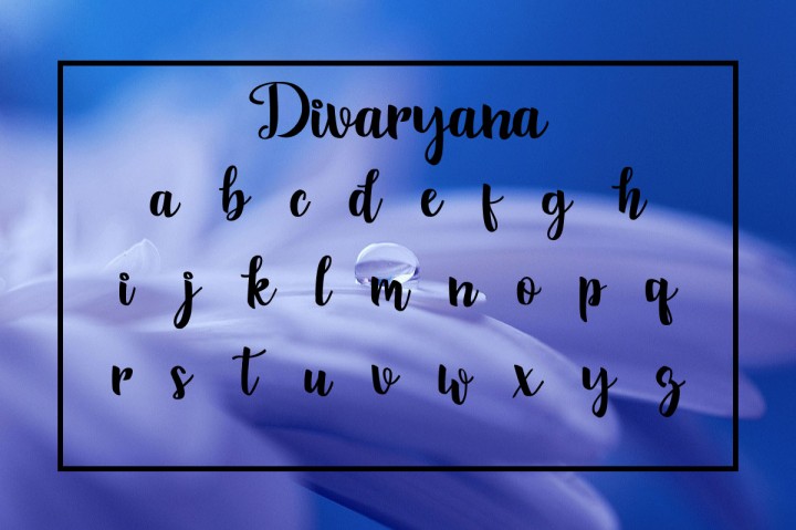 Divaryana Font插图3
