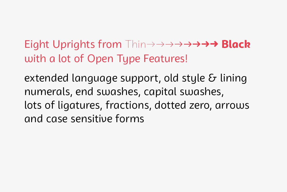 Campuni Font Family插图8