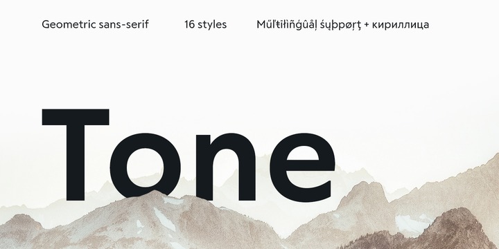 RF Tone Font Family插图