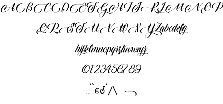 Candle Mustard font插图1 Candle Mustard font插图1