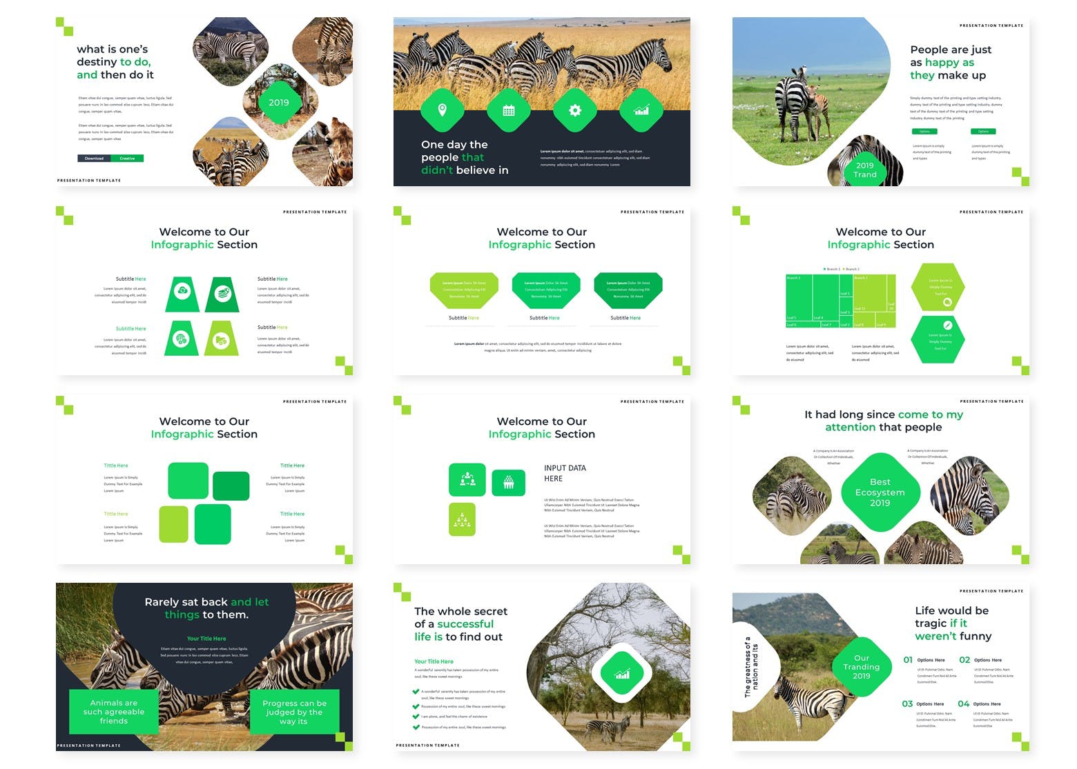 动物斑马研究主题PPT幻灯片模板 Zebraira – Powerpoint Template插图(2)