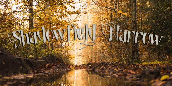 Shadowfield Font Family插图1