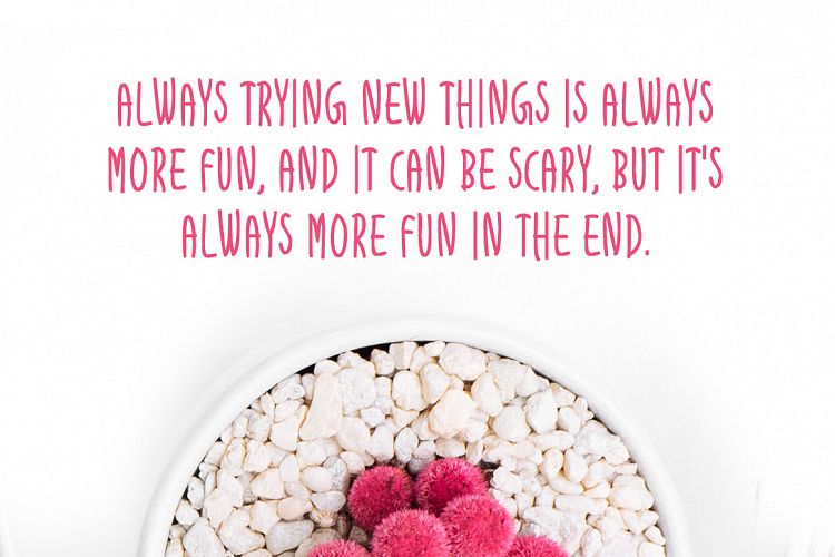 The Way Of LifeRegular Font插图2