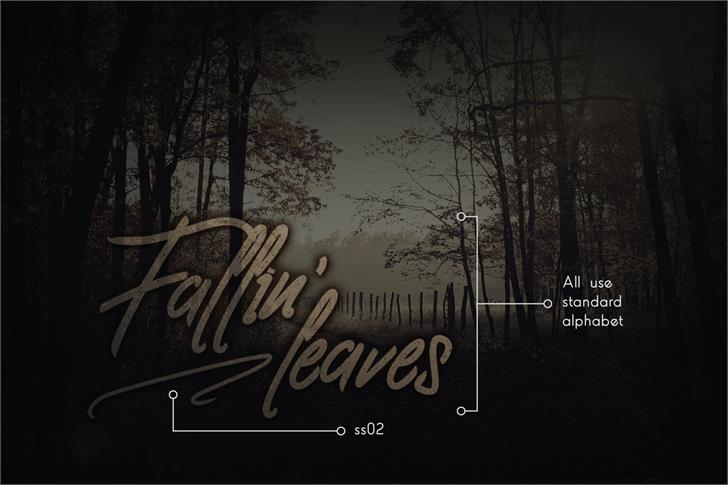 Clovvo Personal Use font插图7 Clovvo Personal Use font插图7