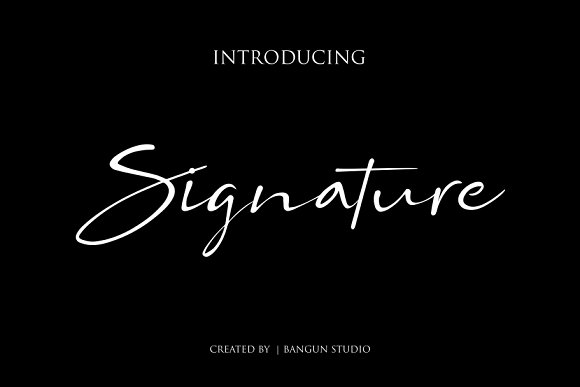 BS SIGNATURE Font插图
