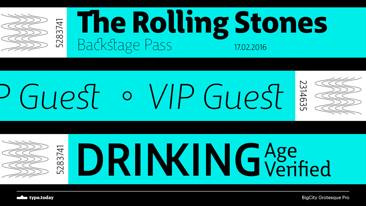 BigCity Grotesque Pro Font Family插图5