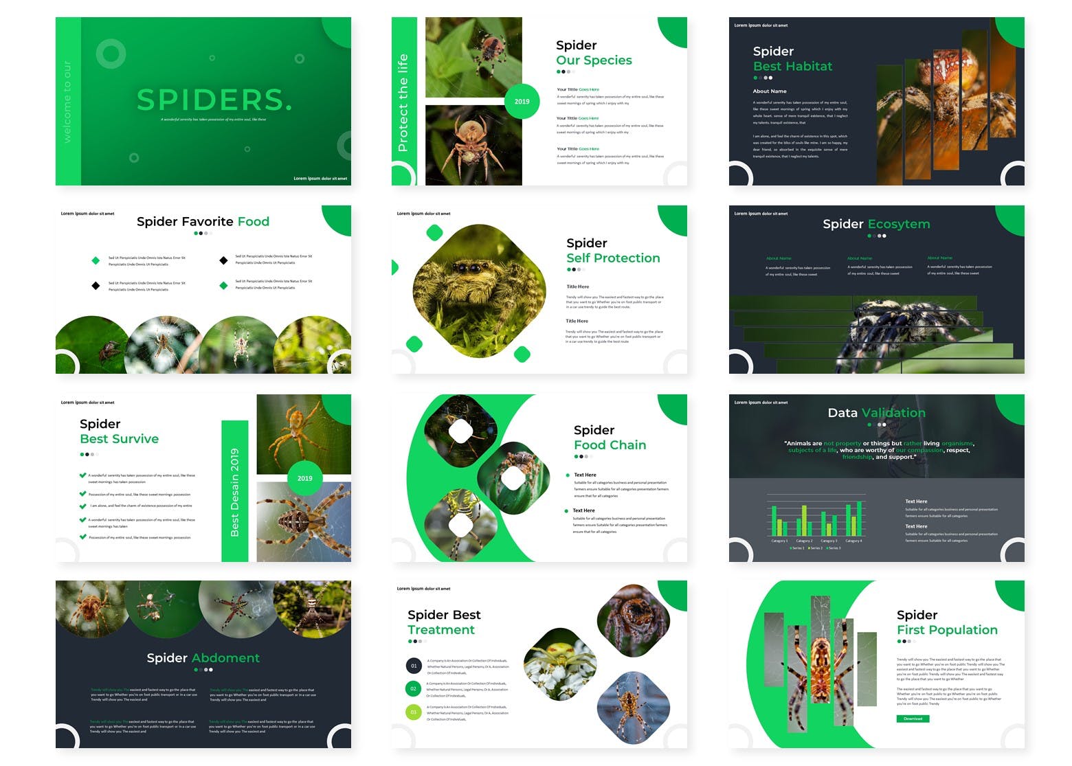 适合做调研报告的PPT模板素材插图(1)