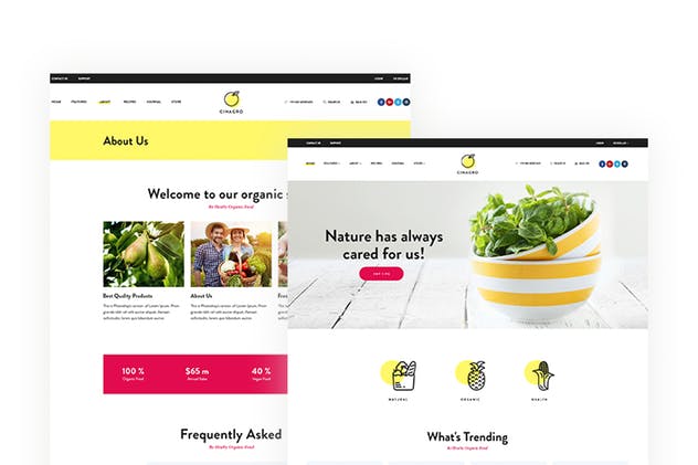 天然有机食物电商网站HTML网站模板素材库精选 Cinagro – Organic Food Shop HTML Template插图(2)