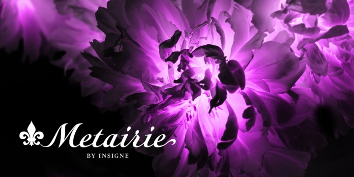 Metairie Font Family插图1