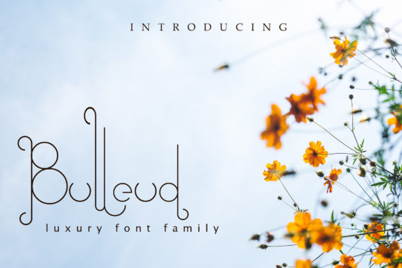 Bulleud Font插图