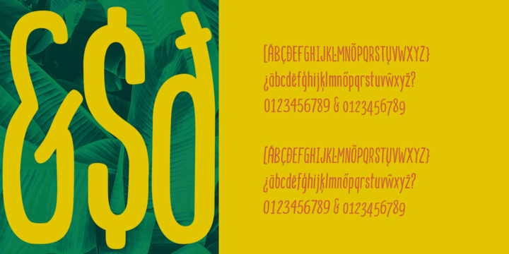 Mangaba Pro Font Family插图2