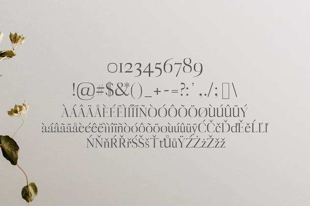 一套非常漂亮的现代英文衬线字体家族 Myron Serif Fonts Family Pack插图(2)