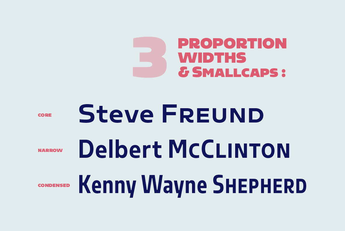 Sarun Font Family插图6