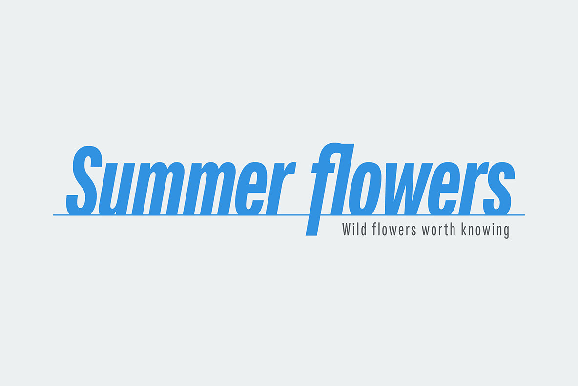 Fairweather Font Family插图5