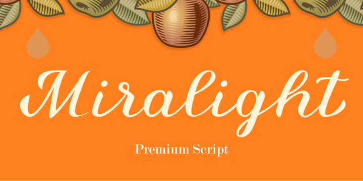 Miralight Font插图