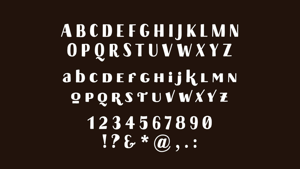 Stockholm Type Font插图1