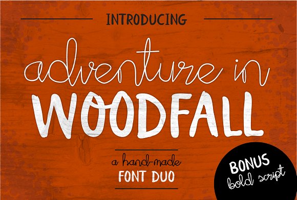 Adventure in Woodfall – Font Duo插图