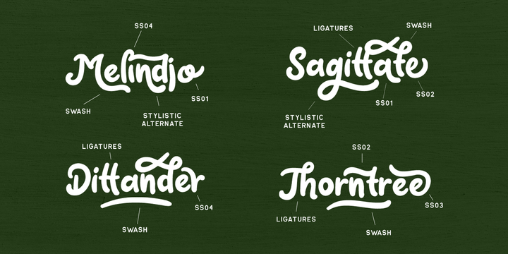 Claytonia Font插图3